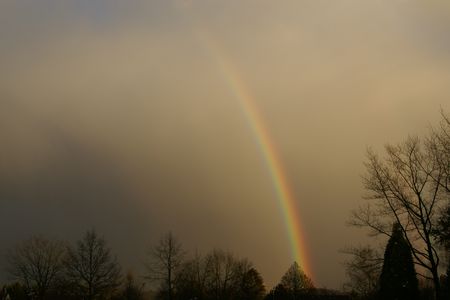 Regenbogen