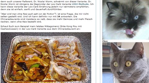 Catfood