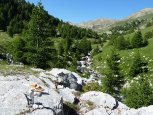 Zweites Frühstück auf dem Weg zum Col de la Bonette